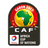 Africa Cup of Nations-kvalifikation