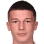 S. Dzodic